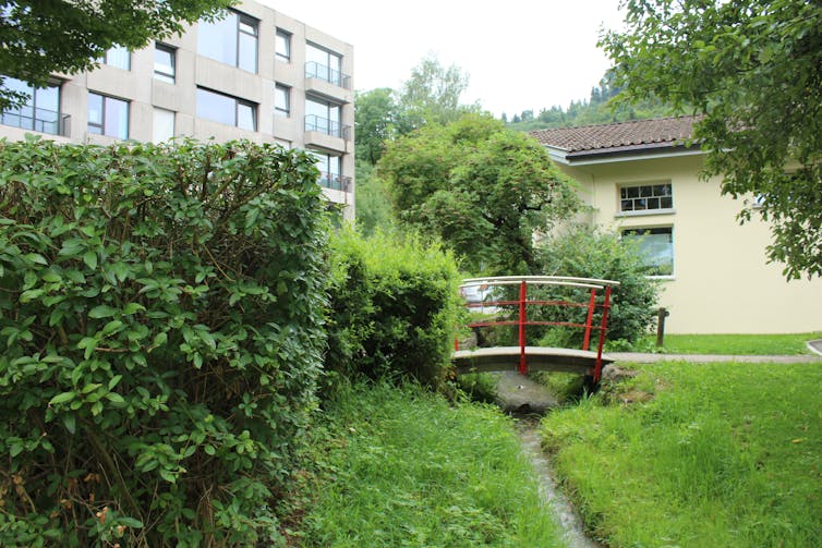 A small bridge over a stream that passes between residential buildings in a green space