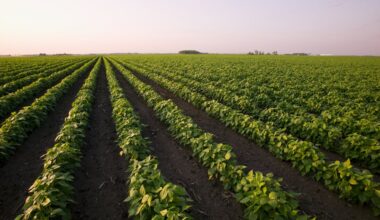 Why the US-Canada trade war could change how American farmers grow their crops for years