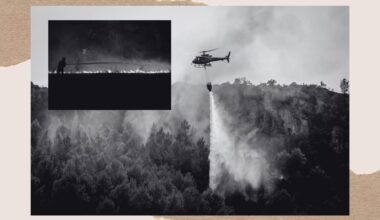 What Happens When the World is on Fire