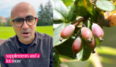 Called Natures Ozempic, This Ancient Ayurvedic Ingredient Is Suddenly Everywhere