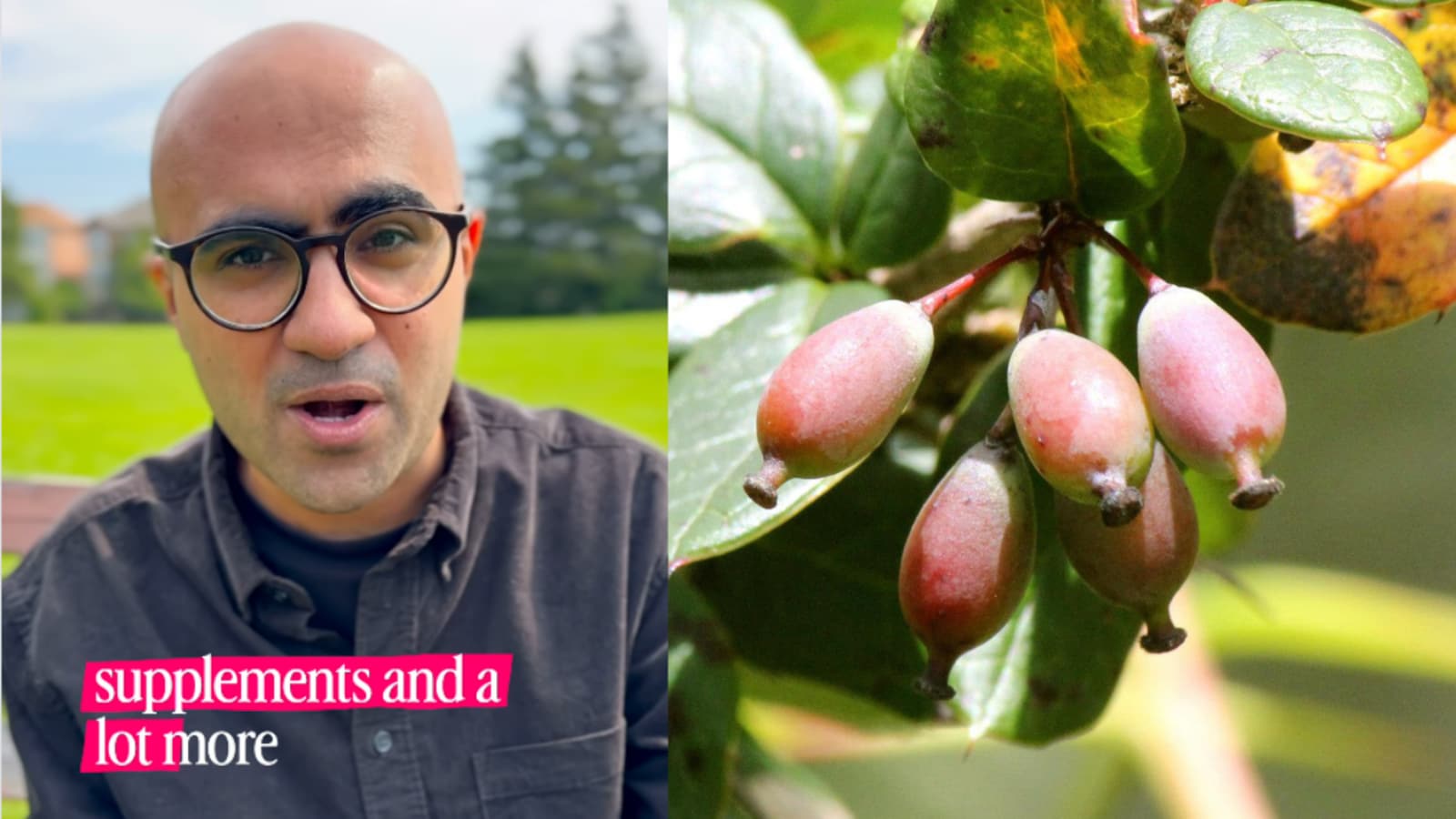 Called Natures Ozempic, This Ancient Ayurvedic Ingredient Is Suddenly Everywhere