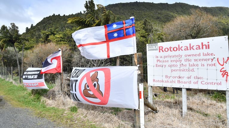 Flags opposing the pipeline erected at the protest site at sacred Lake Rotokākahi.