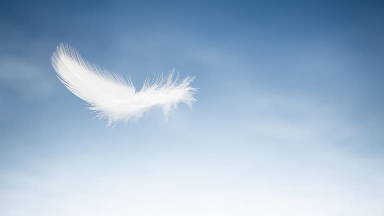 Prices: up like a rocket, down like a feather.