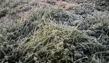 Cold snap pushes NZ's electricity use to record high for second day