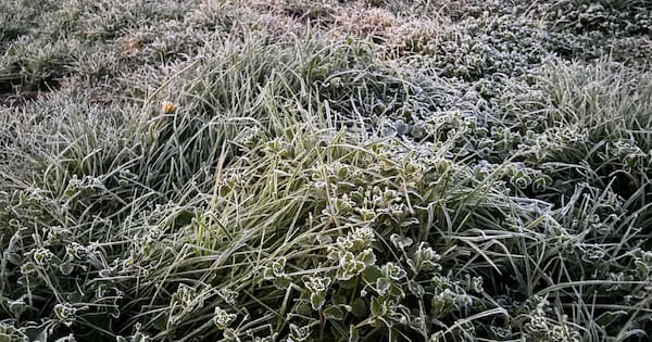 Cold snap pushes NZ's electricity use to record high for second day