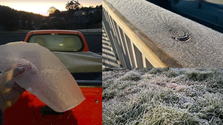 Frost pictured in Auckland's Waiatarua Reserve (right) and Ōrewa this morning.  