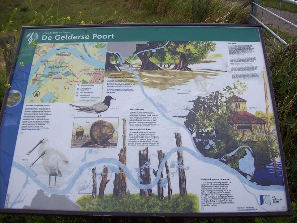 An information sign highlighting the restored river landscape and wildlife of the Gelderse Poort. Image Credits: Wikimedia Commons. Gelderse_Poort