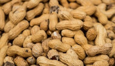Are ‘Poop Pills’ the Future of Peanut Allergy Treatment?