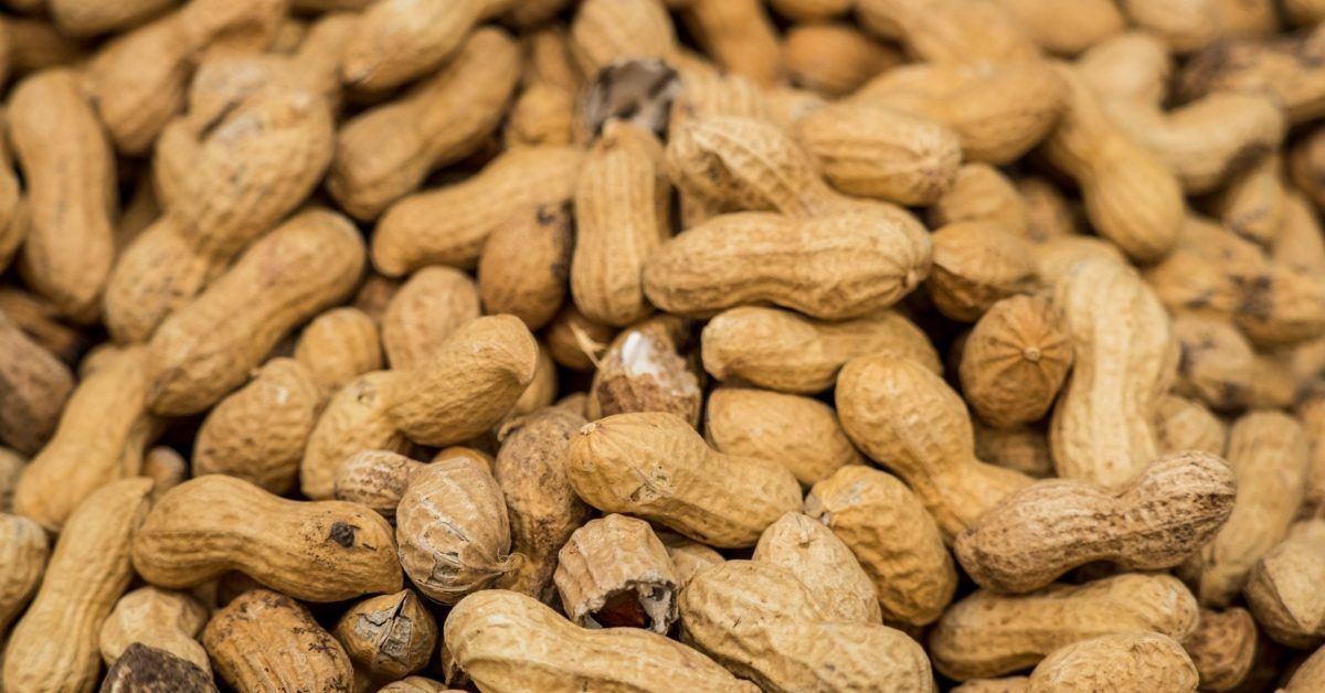 Are ‘Poop Pills’ the Future of Peanut Allergy Treatment?