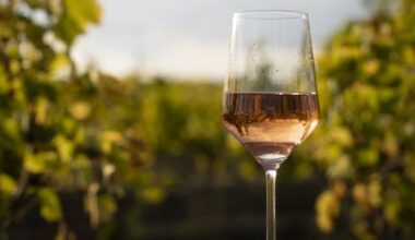 Marlborough Wine & Food Festival put on hold after 40 years