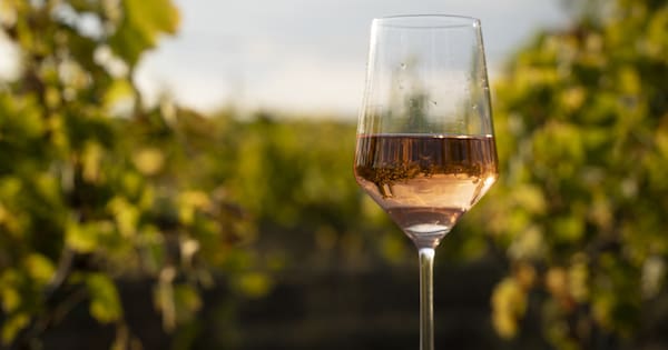 Marlborough Wine & Food Festival put on hold after 40 years