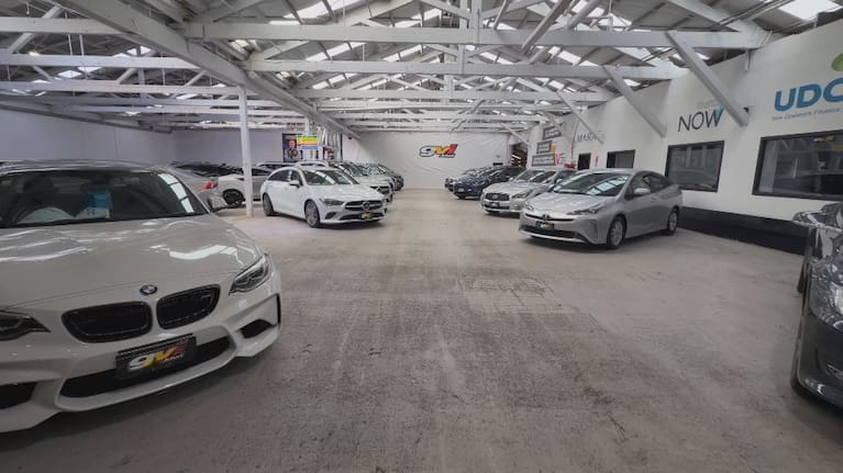 Plug-in and hybrids combined accounted for nearly half of all new car sales in New Zealand last month.