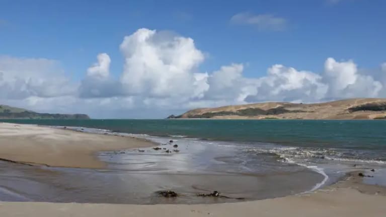 Hokianga Harbour as seen from the beach at Ōpononi.