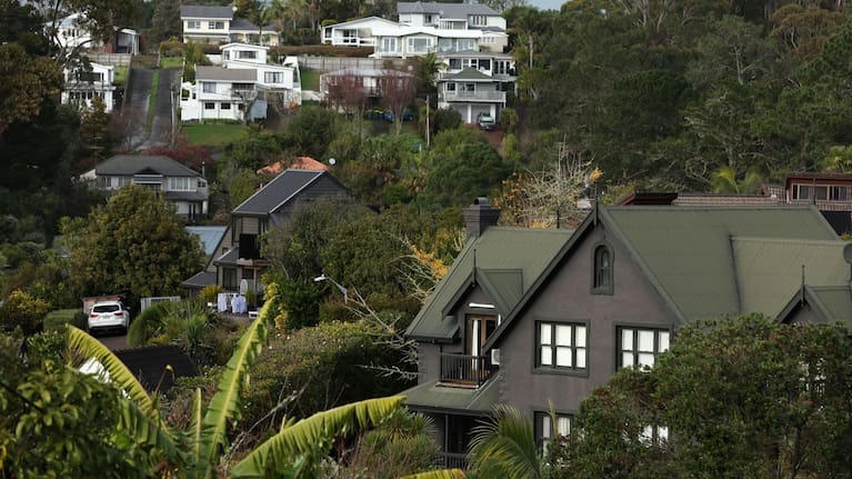 Auckland houses in the Mairangi Bay area.