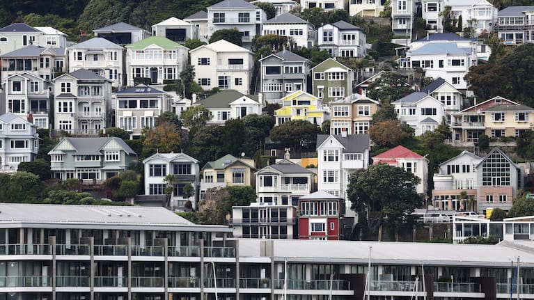 Houses along Wellington's Oriental Bay.