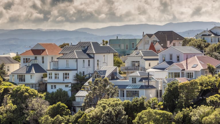 Houses in Wellington (file image).