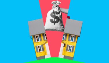 Gareth Morgan: What a waste of capital