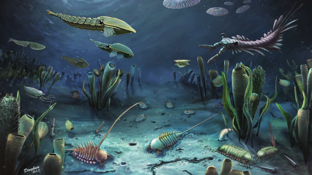 Life reconstruction of the Linyi Lagerstätte in Northern China. Image Credit: Zhixin Sun/Wikipedia How animal poop changed the life beneath the oceans 540-million-years ago