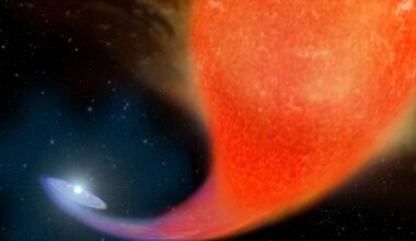 This artist's illustration shows a blue star gaining mass from its red giant companion. Mass transfer is common in massive stars, most of which are in binary relationships. A pair of researchers have developed a way to identify stars that have gained mass, even if the transfer happened a long time ago. Image Credit: NASA/ESA, A. Feild (STScI))