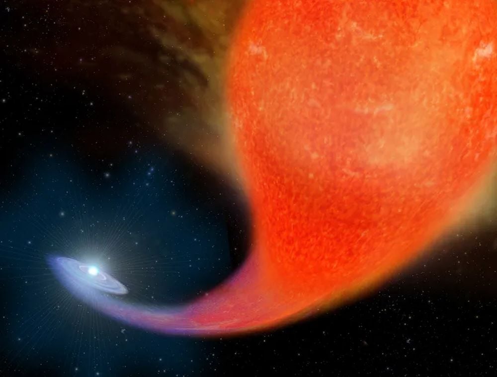 This artist's illustration shows a blue star gaining mass from its red giant companion. Mass transfer is common in massive stars, most of which are in binary relationships. A pair of researchers have developed a way to identify stars that have gained mass, even if the transfer happened a long time ago. Image Credit: NASA/ESA, A. Feild (STScI))