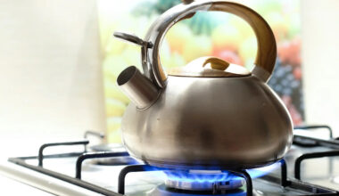 A 'stainless steel' kettle can still hide plastic where your water boils, shoppers warn