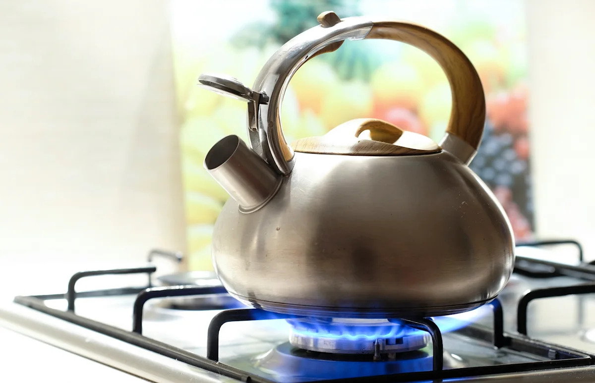 A 'stainless steel' kettle can still hide plastic where your water boils, shoppers warn