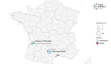 France: Locally acquired chikungunya rises to 15 cases