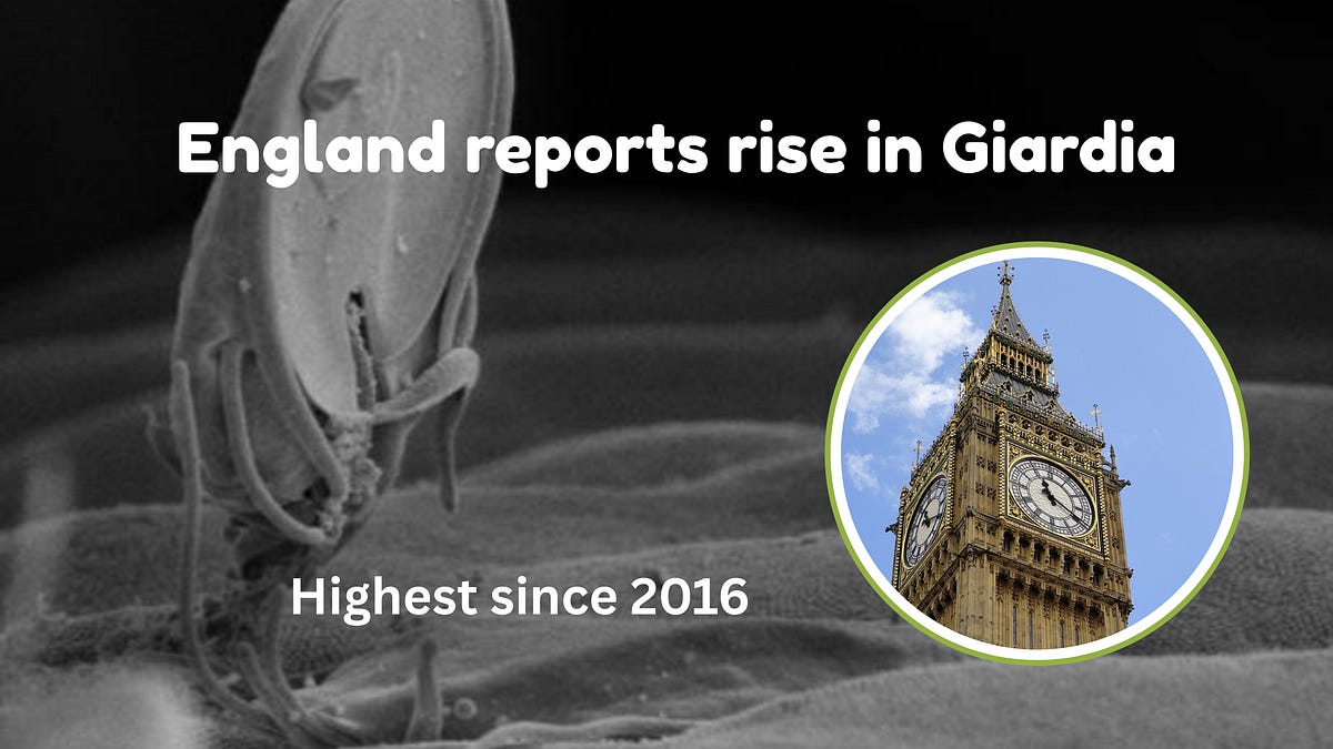 England reports increase in Giardia infections