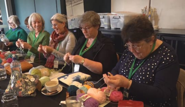 Hundreds descend on Napier for knitting festival