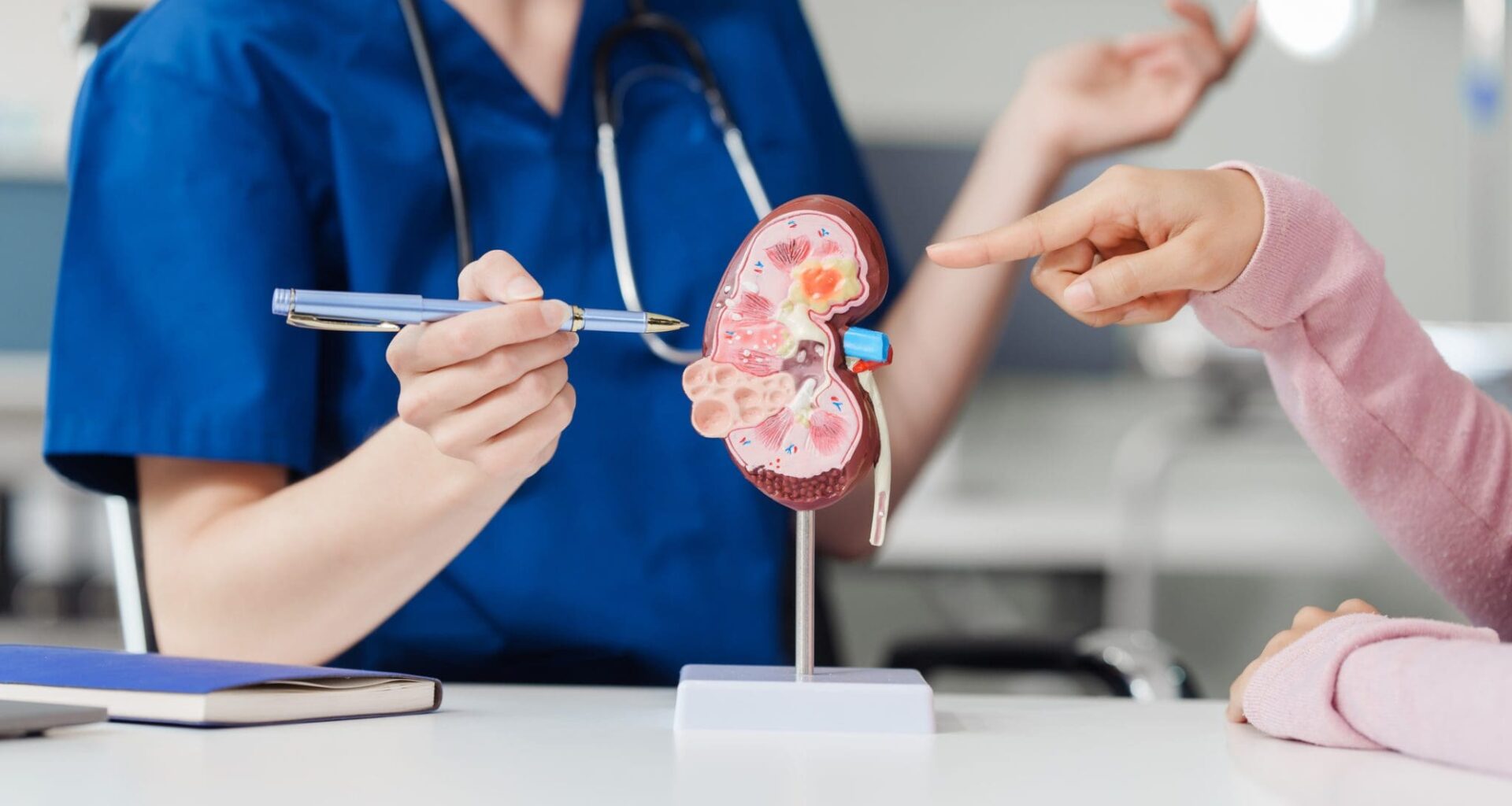 Kidney disease, Chronic kidney disease ckd, Female doctor explains the causes of the disease and treatment guidelines on kidney model to female asian patient at desk at urology hospital room.