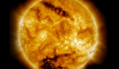 Image of the surface of the Sun, showing lots of dynamic features.