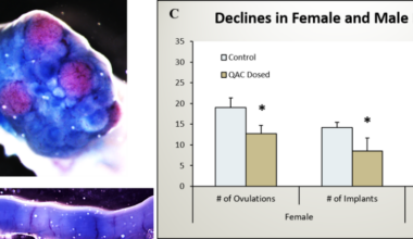 The correlation between infertility and quaternary ammonium compounds