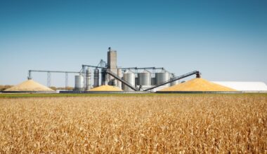 A wide shot of a large agricultural complex featuring multiple tall silver grain silos and two enormous outdoor piles of golden corn. Conveyor belts and metal structures connect the storage units. The background features a clear blue sky, while the foreground is dominated by a vast field of dried, golden-brown corn stalks under a bright, sunny day.