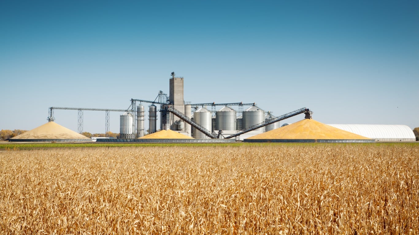 A wide shot of a large agricultural complex featuring multiple tall silver grain silos and two enormous outdoor piles of golden corn. Conveyor belts and metal structures connect the storage units. The background features a clear blue sky, while the foreground is dominated by a vast field of dried, golden-brown corn stalks under a bright, sunny day.