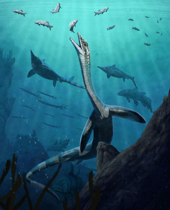 Life reconstruction of Austronaga minuta. Image credit: Gabriel Ugueto.