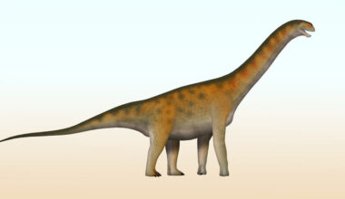 Fossil Find in China Reveals Dinosaur Family Never Before Seen in East Asia
