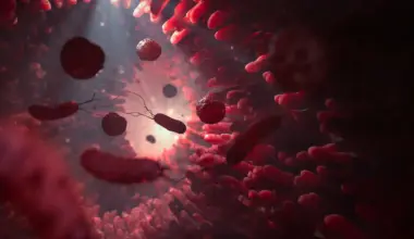 When gut microbes run low on fiber, they may start eating you