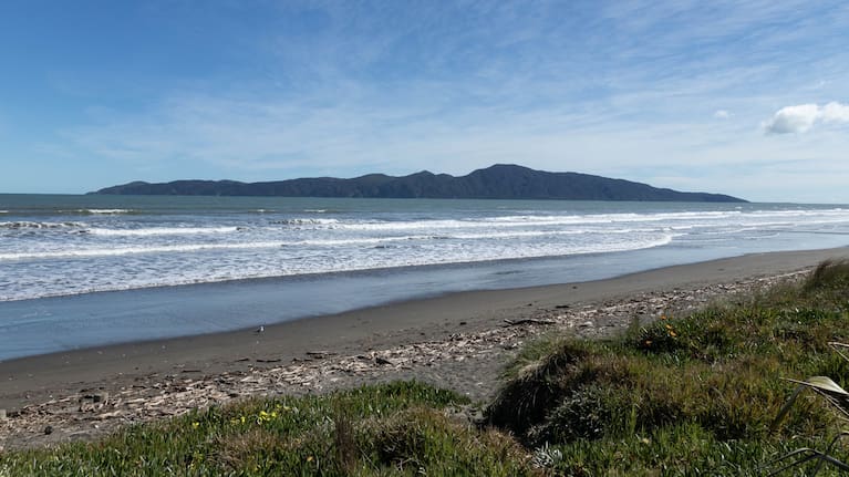 It's alleged the engineering firm received $1.7 million from Auckland Council between 2011 and 2015, and $10.5 million from Kāpiti Coast District Council between 2015 and 2024. (Kapiti Island/ file image)