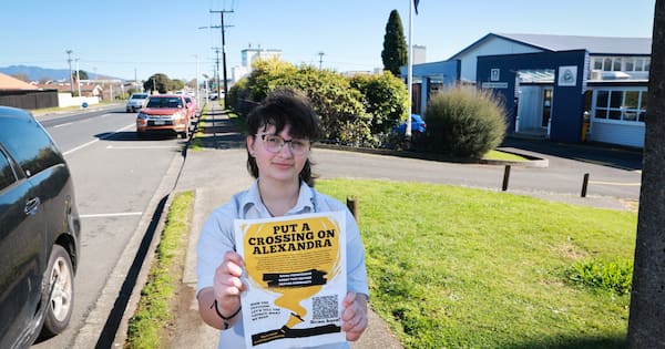 Te Awamutu high schoolers call for crossing after students hit