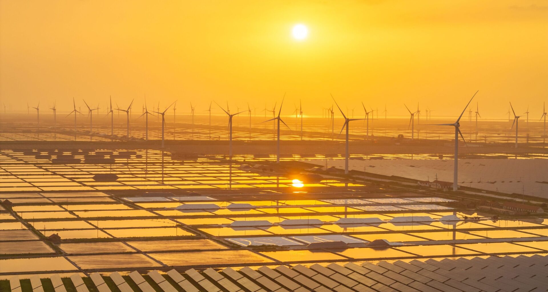a huge renewable energy farm in China at sunset