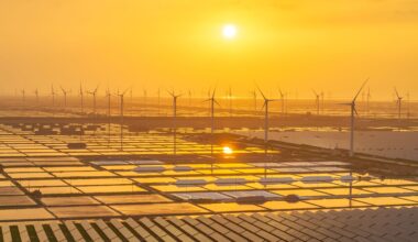 a huge renewable energy farm in China at sunset