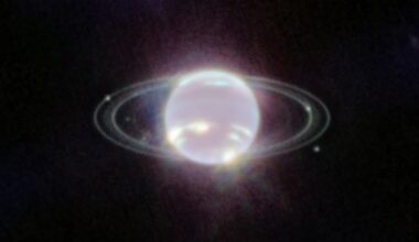 JWST found water-altered clay minerals on two of Neptune's tiny inner moons and its rings that probably formed deep inside much larger icy worlds — compelling evidence that today's moons may be rubble from Neptune's original satellite system, destroyed when the captured moon Triton tore through it billions of years ago.