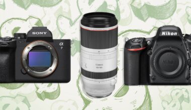 A Sony Alpha 7 camera body, a Canon RF 100-500mm lens, and a Nikon D750 camera body are arranged against a background of green dollar signs.