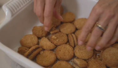 How a viral recipe turned Kingston biscuits into a hot item