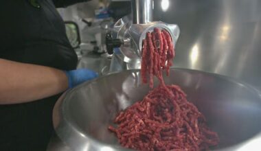 Australian food investigation sparks concerns for Kiwi consumers