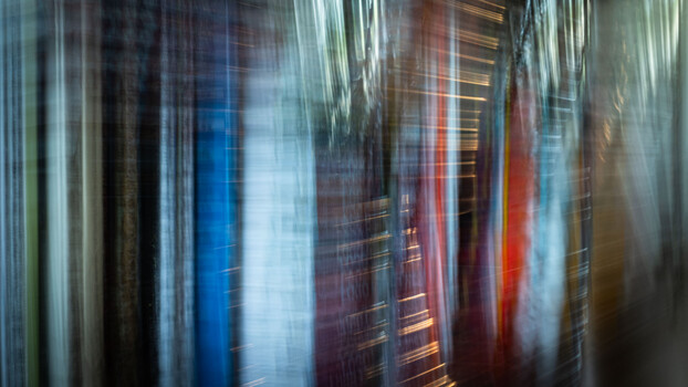 Use AI to Understand Your Photography
