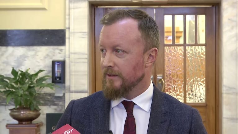 Labour campaign chairperson Kieran McAnulty.