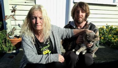 Cat snatched from porch prompts calls for stricter roaming dog laws
