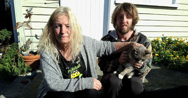 Cat snatched from porch prompts calls for stricter roaming dog laws