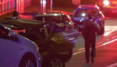 Driver critically injured after vehicle hits parked cars in Auckland